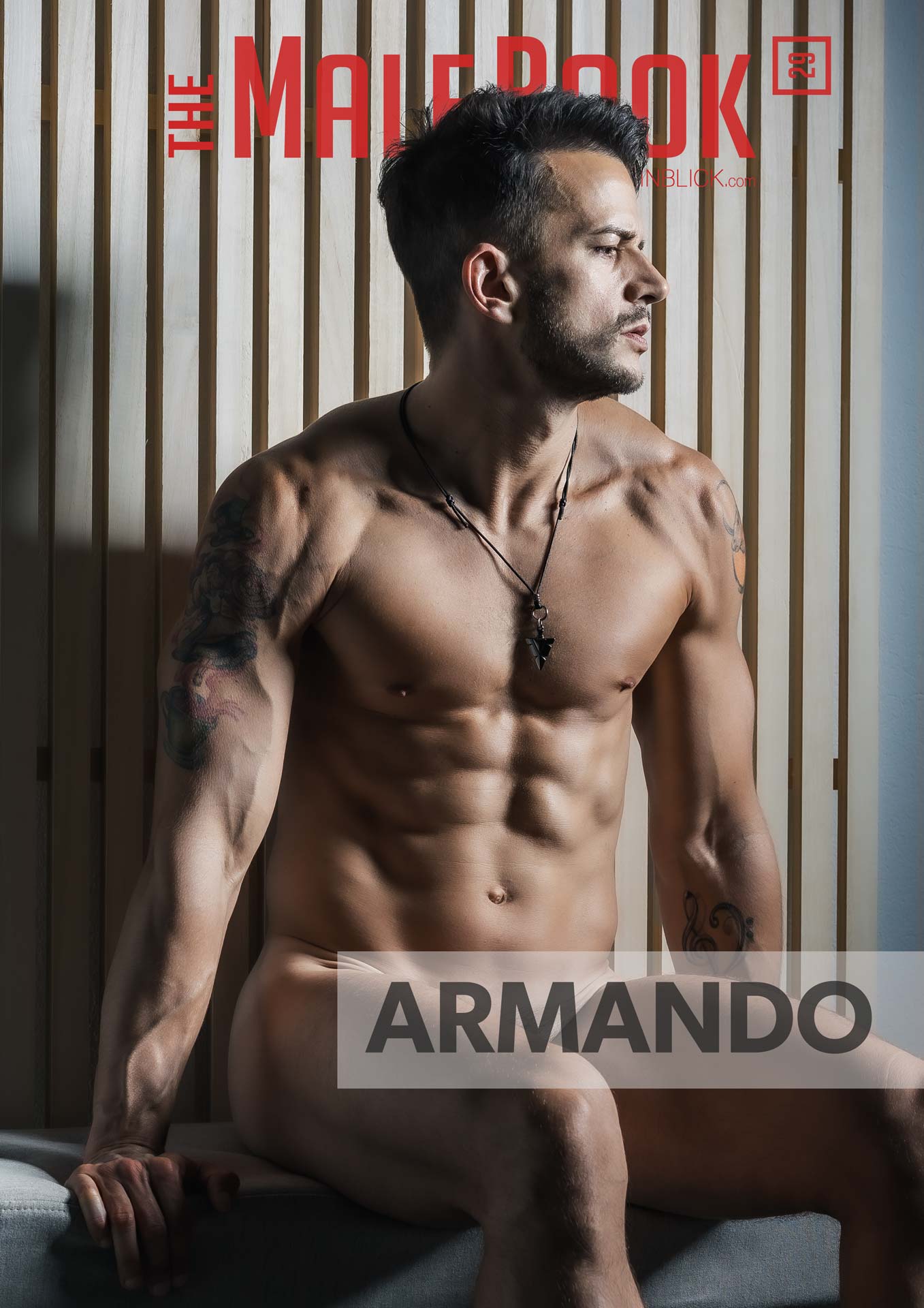 MaleBook-29-Armando-Cover-Vorschau