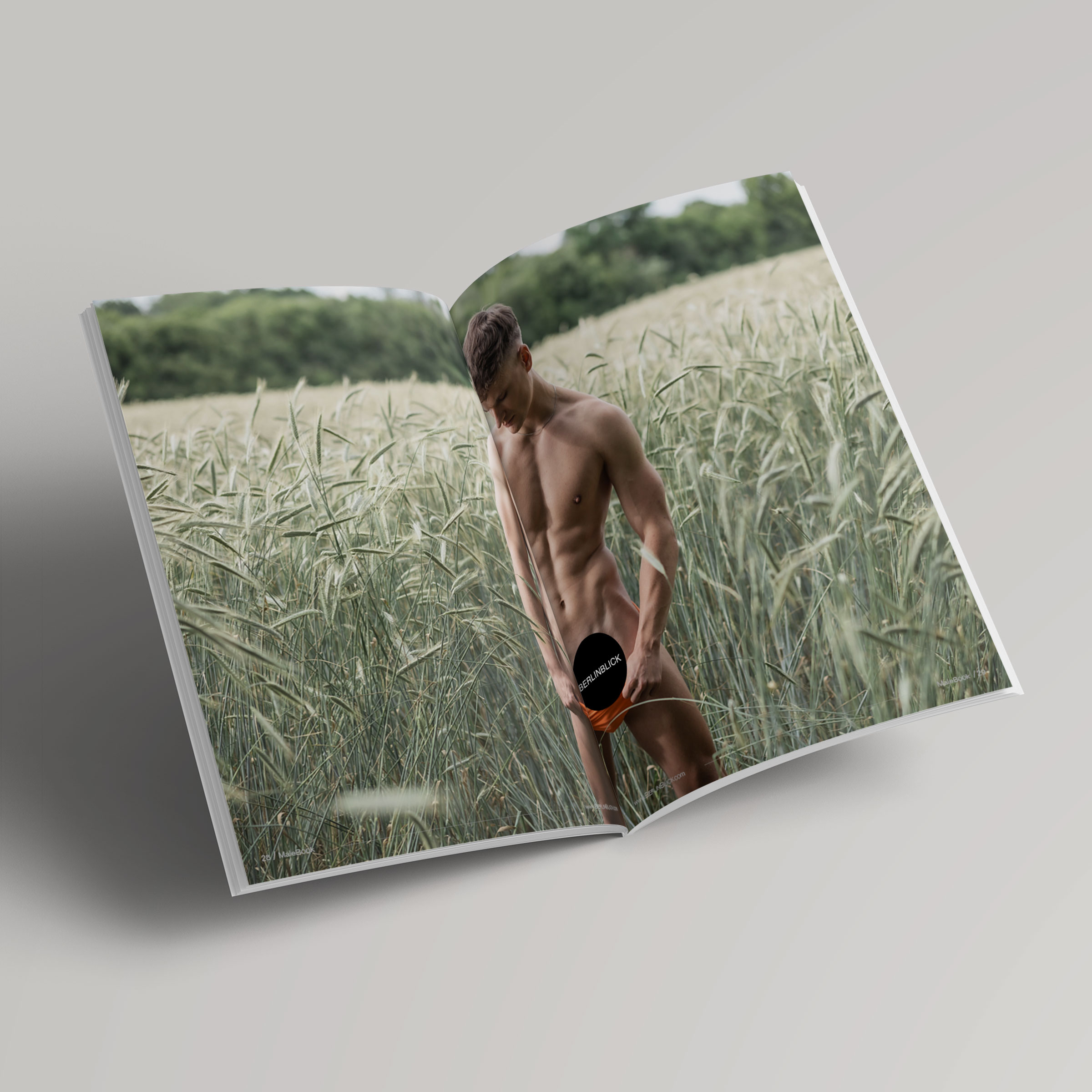 onlyfans. gay, MaleBook-36-Luke-BerlinBlick-27-28
